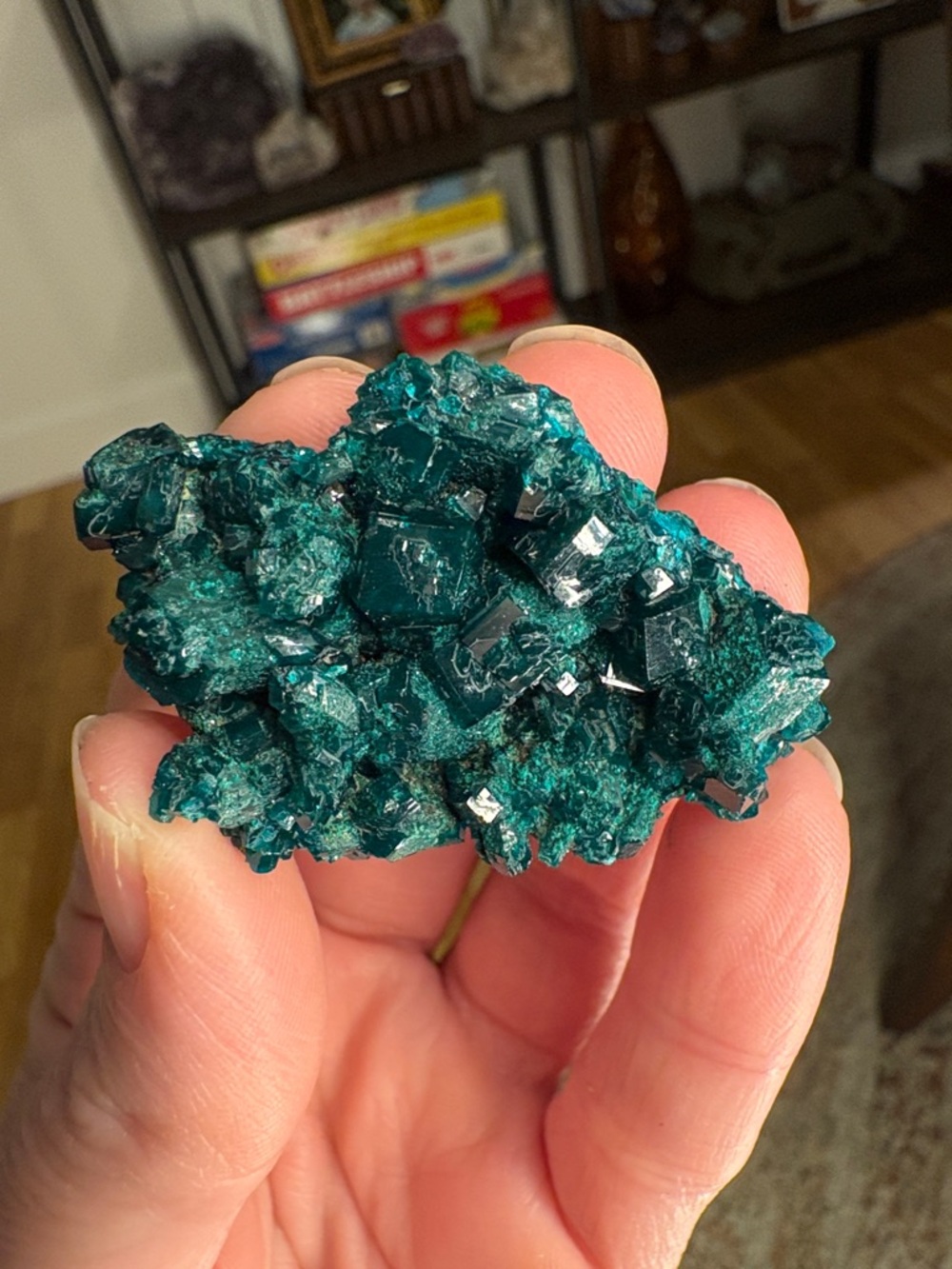 Dioptase Specimen - Picture 3 of 4